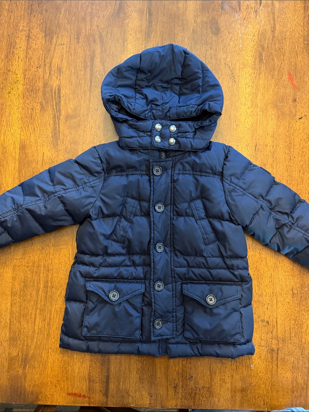Polo by Ralph Lauren Boys Navy Hooded Puffer Coat